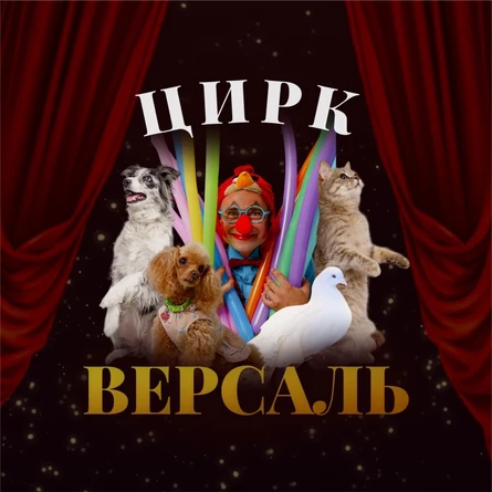 Цирк Версаль пос.Выгоничи