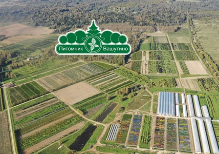 Экскурсия в питомники НИВАКИ и Вашутино Зубцов