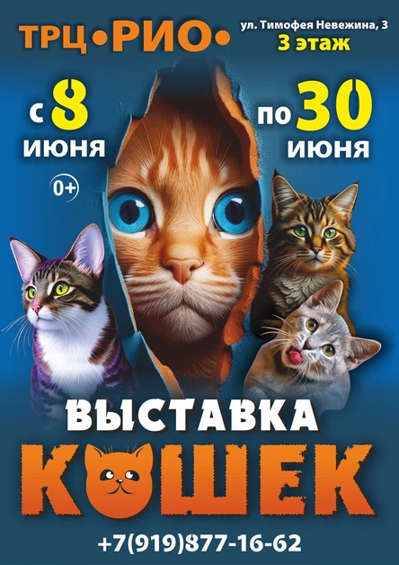 Выставка кошек | Курган
