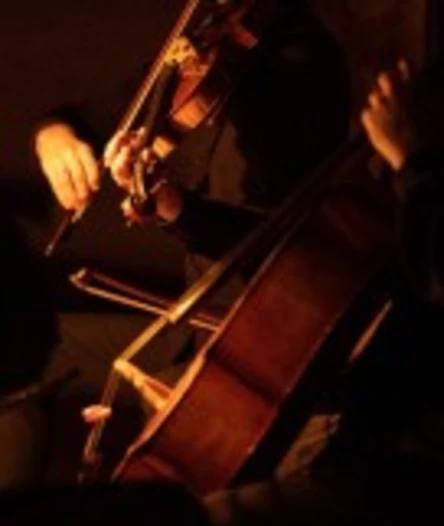 Концерт солистов оркестра musicAeterna