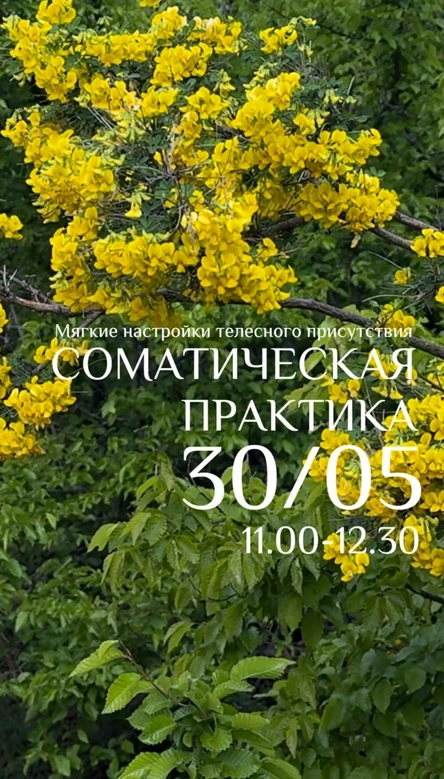 Соматическая практика