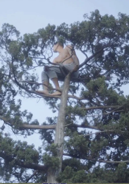 Доброе утро, Луна, SUB