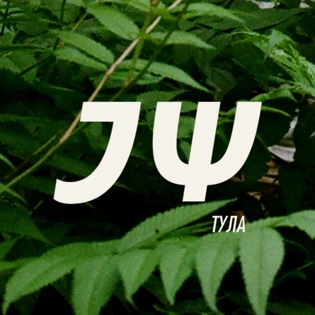 Электрофорез | Большой концерт в Туле