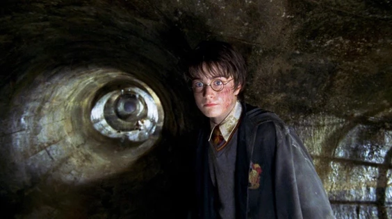 к/ф "Гарри Поттер и Тайная комната"