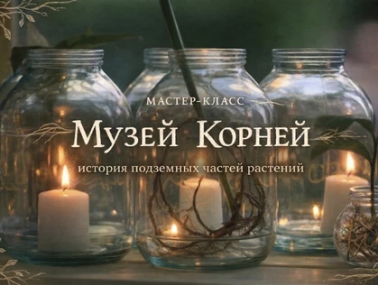 Мастер-класс «МУЗЕЙ КОРНЕЙ»