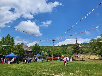 Музейная программа "День Донской селедки"
